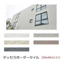 テッセラ ボーダータイル 壁用 セッキ質 凸凹 荒々しい 外壁 玄関 塀 門扉 ガーデニング DIY リフォーム レンガ エクステリア 建材 250x40x11...