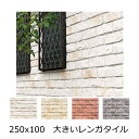コーラル ストーン風 レンガタイル 外壁 壁用 ブリックタイル 外壁用 DIYリフォーム インダストリアル アンティーク 壁 250x100 大きいレンガ風