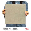 玄関 タイル 外床 内床 壁用 300角 テラコッタ風 ベージュ T-HD 磁器 ベランダ 敷石 土間 ポーチ テラス 庭 ガーデン 置くだけ ガーデニング 床...