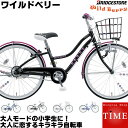 楽天自転車専門店 タイム（TIME）【キラキラ星型アクセサリー付】ブリヂストン ワイルドベリー 22インチ 変速なし 2021年-2023年ロングセラーモデル WB201 大人のトレンドを取り入れた新感覚の女の子向け自転車 子供自転車 ブリジストン 子供用自転車 22型