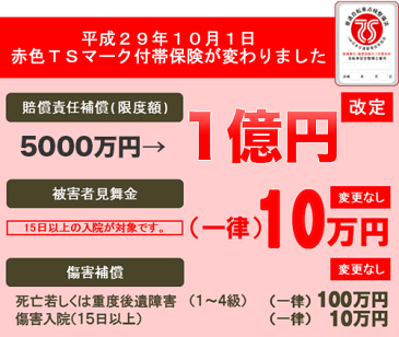 TS保険 TS傷害保険【万が一のための自転車保険。賠償保険限度1億円で安心の赤色TSマーク付帯保険】