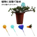 自動給水器 2個セット 自動水やり器 給水 カラー ガラス 自動水やり器 給水 水やり 水差し 鉢植え 観葉植物 自動 給水器 散水 ツール 水差し ボール 園芸 鉢植え ウォーター ディスペンサー 小鳥 ハート型 ボール 多肉植物 出張 留守 世話