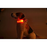 【在庫処分】【赤字覚悟】電池式光る犬の首輪ペットフラッシュバンド夜ライト安全アクセサリー(ベルトタイプ)電池式小型犬中型犬大型犬