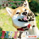迷子札 超軽量 犬 いぬ 猫 ねこ ペット 首輪 犬用迷子札 名前入れ 名入れ ネームタグ ドッグタグ 名札 かわいい おしゃれ 犬首輪 犬の首輪 革 皮 レザ...