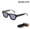 【国内正規品】ブラックフライ サングラス BF-1255-05 FLY ALDER メンズ レディース UVカット 偏光レンズ【送料無料(※北海道・沖縄は配送不可)】(4)