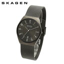 yKizXJ[Q rv SKW6815 SKAGEN GRENEN Y `R[ bVyikCE͔zsjz