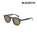 【国内正規品】ブラックフライ サングラス BF-1259-15 FLY CAMDEN メンズ レディース UVカット BLACK FLYS【送料無料(※北海道・沖縄は配送不可)】(4)