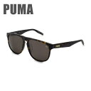 【国内正規品】 PUMA プーマ サングラス PU0225SA 002 59 メンズ アジアンフィット UVカット 【送料無料（※北海道・沖縄は1,000円）】