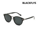 【国内正規品】ブラックフライ サングラス BF-1609-01 FLY VINCENT メンズ レディース UVカット 偏光レンズ BLACK FLYS【送料無料(※北海道・沖縄は1,000円)】(4)