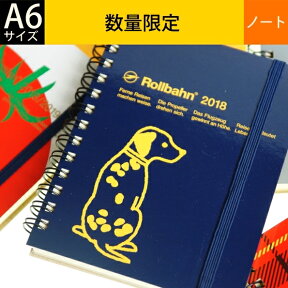 DELFONICS デルフォニックス 廃盤 sale ノート A6 西暦入りロルバーン メモ帳 ノート M A6 方眼 リングノート お買い得 限定 かわいい オシャレ 大人かわいい　おしゃれ　可愛い キャラクター 手帳カバー スケジュール帳 手帳のタイムキーパー