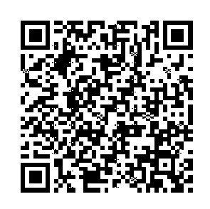 ASHFORD ������ե����� �����ƥ��Ģ��ե��� �� �쥶�������������� ���꡼�� M6 �ߥ�6�� �ǥ�����ʸ�� �������塼��Ģ 6�� �������塼��Ģ ��Ģ�Υ����७���ѡ�