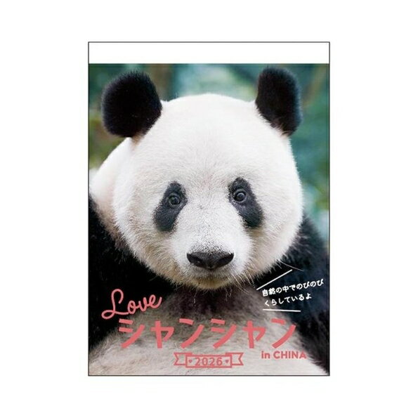 GREETINGLIFE グリーティングライフ 2026 1月始まり カレンダー H360×W260 壁掛け カレンダー パンダ ..