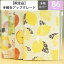 CLOTHES-PIN クローズピン 2020年1月始まり(2019年10月始まり) 手帳 月間式(月間ブロック) B6 トモコ旬果 小物 大人かわいい おしゃれ 可愛い スヌーピー ディズニー スケジュール帳 手帳のタイムキーパー