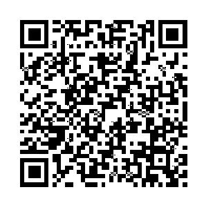 KODOMONOKAO こどものかお スタンプ ・ ワンポイントスタンプF うさぎ全身 スケジュール帳 手帳のタイムキーパーネット通販 年賀状印刷 年賀状作成ソフト セール