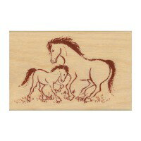 Rakuten - こどものかお こどものかお ニューイヤースタンプ　草原の馬親子　11295005 |