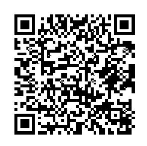 KOKUYO コクヨ シール ・ タックインデックス 小 青 細長 縦長 横長 見出し スケジュール帳 手帳のタイムキーパー