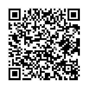 RAYMAY レイメイ システム手帳リフィル バイブル (6穴) スケジュールシールD バイブル スケジュールシール　b6　6穴　手帳 スケジュール帳 手帳のタイムキーパー