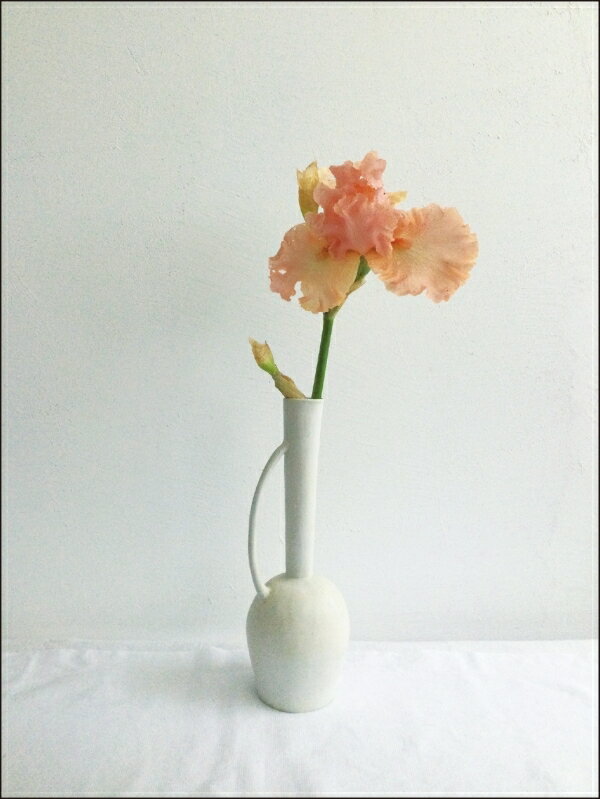 APJ �����ȥץ��ȥ���ѥ� 2026 1��Ϥޤ� �������� H355��W285 CL 062 �ɳݤ� �������� �ե��ǥ��� �������� �֥�� �� �ǥ����� ������� ��ͤ��襤�� ����ץ� �������塼��Ģ ��Ģ�Υ����७���ѡ�