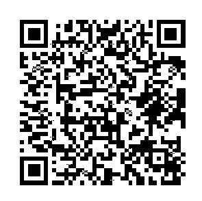 SD 株式会社システムダイアリー システム手帳リフィル ミニ6(6穴) C36 ネームマスター 6穴 M5 ポケット シーズンゲーム リング 本革 スケジュール帳 手帳のタイムキーパー