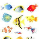 奥山 季節 ラメ入りシール 熱帯魚 | アクアリウム 海の生き物 クマノミ グッピー 癒し系 水族館風