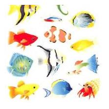 奥山 季節 ラメ入りシール 熱帯魚 | アクアリウム 海の生き物 クマノミ グッピー 癒し系 水族館風 timekeeper-10062786 手帳のタイムキーパー サンプル画像3