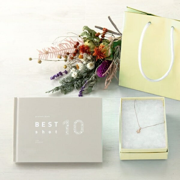 IROHA いろは出版 手帳カバー ・ presentbook プレゼントブックBESTshot10BST10-02gray スケジュール帳 手帳のタイムキーパー