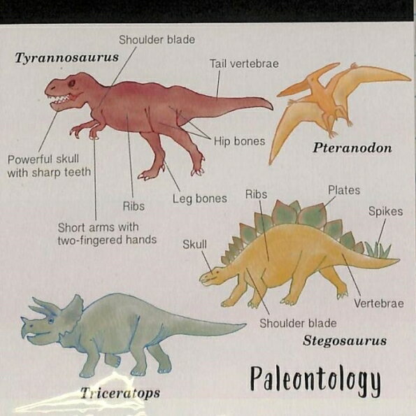 おもしろ付箋 GREENFLASH グリーンフラッシュ 文房具 ・ メモパッドスクエア古生物学 ふせん　吹き出し　おもしろ　かわいい　ポストイット スケジュール帳 手帳のタイムキーパー　ティラノサウルス