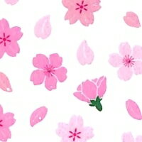 OKUYAMA 奥山 シール 春(はる) ・ 季節シール・ラメ入り紙シールサクラフブキ 季節 桜 サクラ さくら スケジュール帳 手帳のタイムキーパー