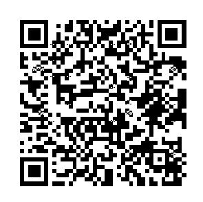 PILOT パイロット スタンプ ・ フリクションスタンプ 新 新幹線 L スタンプ台 インク かわいい キャラクター 手帳 イラスト 6mm 5個 3個 ごほうびスタンプ 事務 先生 スケジュール帳 手帳のタイムキーパー