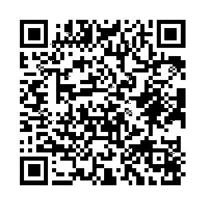 ASHFORD ������ե����� �����ƥ��Ģ��ե��� �ޥ�����5(5��) ��䵥�ե��� �ݥ��ȥ��å� ��䵻� �֥å��ޡ��� ��� ��Ʃ�� 6�� �ܳ� �Х������ �������� �������ޥ��� �������塼��Ģ ��Ģ�Υ����७���ѡ�