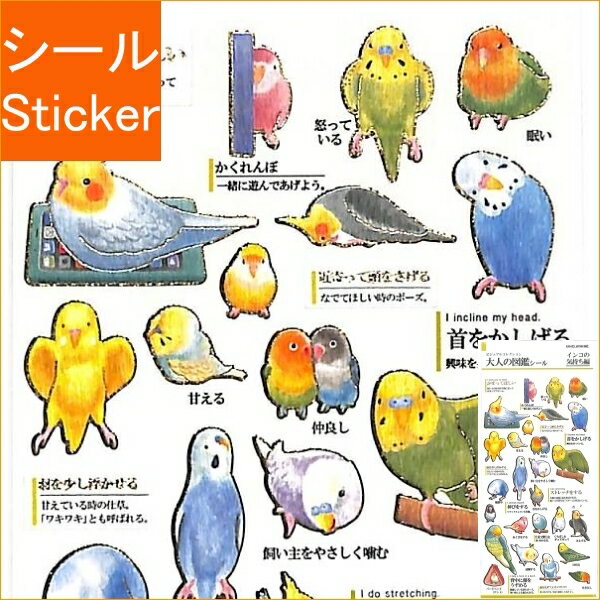 KAMIO JAPAN カミオジャパン シール ・ PM大人の図鑑シール/インコの気持ち 鳥 いんこ 鳥類 シール帳 福袋 スケジュール デコ ステッカー ダイ...