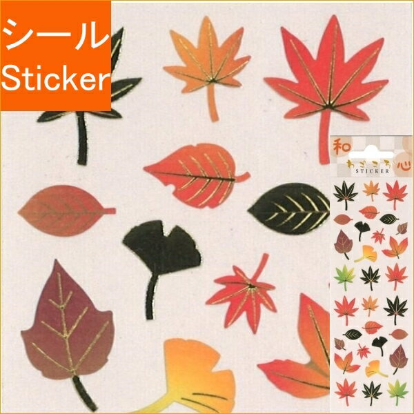 S&C Corporation S&Cݥ졼   »   Ϥ  Ģ ʡ   Х ǥ졼 ϡ...