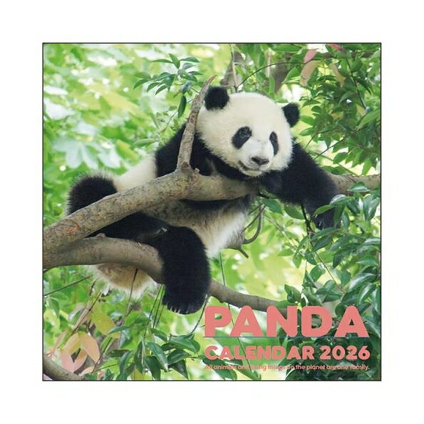 GREETINGLIFE グリーティングライフ 2026 1月始まり カレンダー H300×W300 壁掛け カレンダー LPサイズ パンダ 動物 デザイン おしゃれ 大人かわいい シンプル スケジュール帳 手帳のタイムキーパー