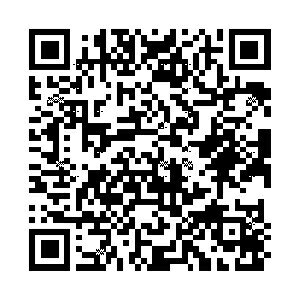 TOCONUTS �ȥ��ʥå� ��Ģ��ʪ �� ���Ϥ�����C �֥å��ޡ��� ������ �֥å��ޡ����� �ѡ��� ������� �ɽ� ���åץꥱ ��åڥ� �������塼��Ģ ��Ģ�Υ����७���ѡ�