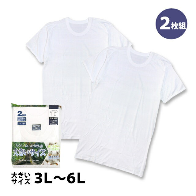 肌着 半袖 丸首 シャツ 2枚組 メンズ 男性 下着 綿100% 大きいサイズ インナー 大人 3L 4L 5L 6L