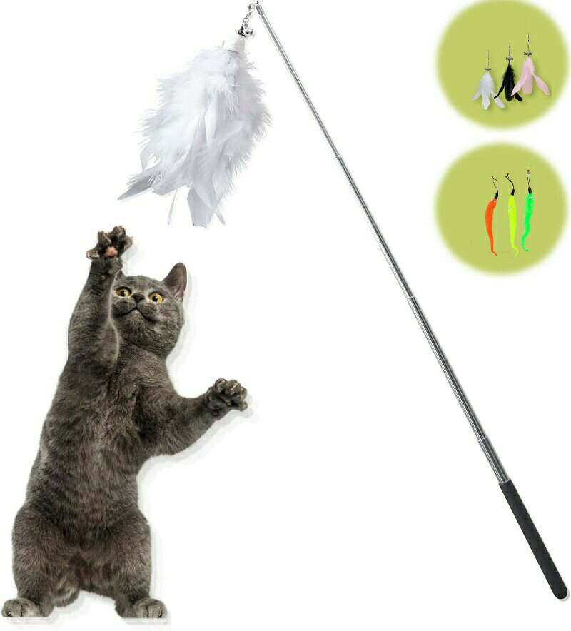 乐天商城 - 猫じゃらし 猫おもちゃ ねこおもちゃ ネコ用おもちゃ 猫 ねこ 遊ぶ 猫用品 釣り竿 伸びる セット 羽根 伸びる しなやか 運動不足解消 ペット用品
