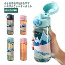 スリム ウォーターボトル キッズ 大人 プラスチック 水筒 480ML 580ML かわいい おしゃれ 軽量 洗いやすい クリア ディズニー ジブリ 直飲み こし器付き ブラシ付きボトル フレーバーウォーター ヨガ 通学 通園 公園 オフィス 誕生日 こどもの日 ギフト 送料無料