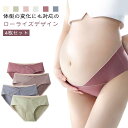 ショーツ 冷え対策 妊婦用 ローライズ シームレス 大きいサイズ マタニティ 【4枚セット】 綿 通気性 コットン ストレッチ 産後 伸縮性 下着 パンツ イン...
