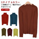 カットソー 春 ゆったり 【送料無料】ロンt トップス ウール 秋 秋冬 レディース Tシャツ インナー レディース 大きいサイズ トップス インナー 冬 無地 タートルネックカットソー ハイネックカットソー 長袖(4)