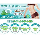 【送料無料】DHC フォースコリー ソフトカプセル 30日〜60日分 ダイエットサプリ 体脂肪 筋力キープ ビタミンB 2