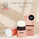 スーパーミリオンヘアー SMH ヘアファンデーション 12g 1 ブラック 生え際 白髪染め 地肌 白髪隠し ルアン RUAN