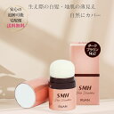 スーパーミリオンヘアー SMH ヘアファンデーション 12g No.2 ダークブラウン 生え際 白髪染め 地肌 白髪隠し ルアン RUAN