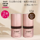 スーパーミリオンヘアー SMH ヘアファンデーション 12g ×2個セットNO. 3 ライトブラウン 生え際 白髪染め 地肌 白髪隠し ルアン RUAN