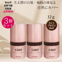 スーパーミリオンヘアー SMH ヘアファンデーション 12g ×3個セットNO. 3 ライトブラウン 生え際 白髪染め 地肌 白髪隠し ルアン RUAN