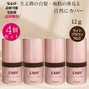 スーパーミリオンヘアー SMH ヘアファンデーション 12g ×4個セットNO. 3 ライトブラウン 生え際 白髪染め 地肌 白髪隠し ルアン RUAN