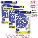 DHC ブルーベリーエキス 徳用 90日分×3個セット パソコン スマホ 疲れ目 眼精疲労 予防 サプリメント