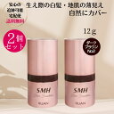 【お得な2個セット】スーパーミリオンヘアー SMH ヘアファンデーション 12g No.2 ダークブラウン 生え際カバー 白髪染め 地肌 白髪隠し ルアン RUAN 薄毛カバー 白髪カバー