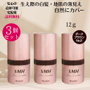 【お得な3個セット】スーパーミリオンヘアー SMH ヘアファンデーション 12g No.2 ダークブラウン 生え際カバー 白髪染め 地肌 白髪隠し ルアン RUAN 薄毛カバー 白髪カバー