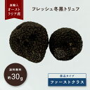 【30g目安】フレッシュ オーストラリア 冬黒トリュフ ファーストクラス メラノスポルム 直輸入 高級食材 三大珍味 希少 高品質 フレッシュトリュフ ギフト ...