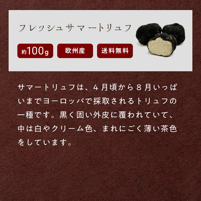 【100g目安】フレッシュ サマートリュフ ファーストクラス 欧州産 直輸入 高級食材 三大珍味 希少 高品質 フレッシュトリュフ ギフト トリフ 生トリュフ 父の日 | 冷蔵 クール便 送料無料 夏トリュフ 低価格 高級 高級品 お中元 プレゼント tinotruffles-10000010 ティノトリュフ サンプル画像3